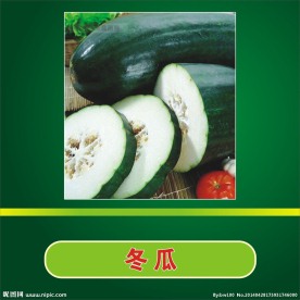 冬瓜