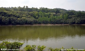 湖 水库