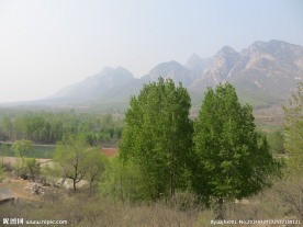 少室山东麓春景