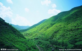 高山草地