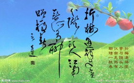 言恭达书陆凯诗