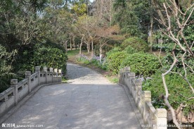小桥 桥梁 公园小桥