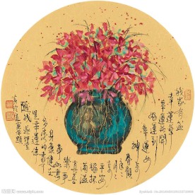 我家有盆幸运草