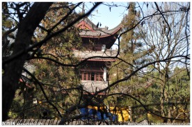 灵隐寺图片