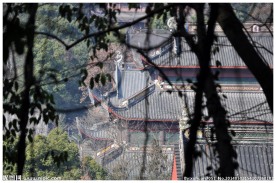 灵隐寺图片