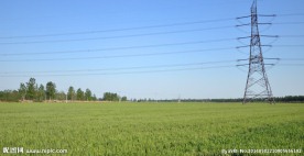 麦田