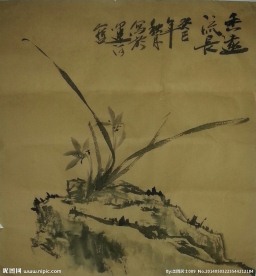 国画兰花
