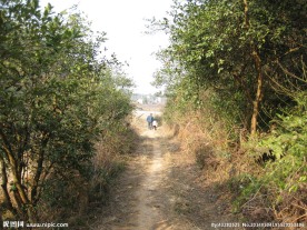 山间小路