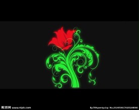 荧光花朵舞台背景视频