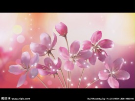 花朵星光舞台背景视频