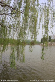 景阳冈春色