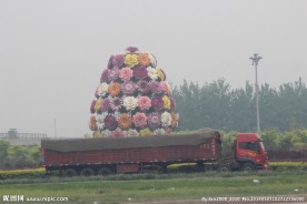 花摆