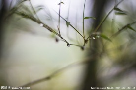 雨滴