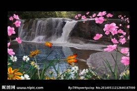 花朵蝴蝶水池视频素材