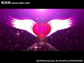 爱心翅膀视频素材