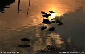 荷塘夜色