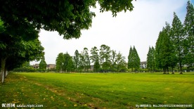 东软学院