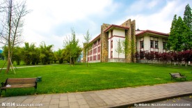东软学院