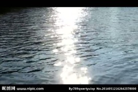 阳光水面视频素材