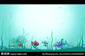 卡通海洋海底鱼类视频
