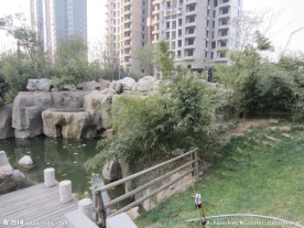 社区景观风景