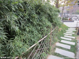 社区景观风景