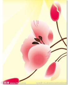 红花
