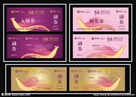 高档入场券