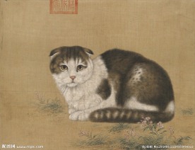 工笔猫