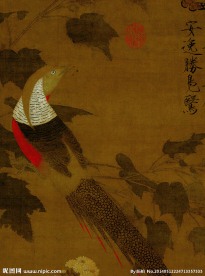 芙蓉锦鸡图
