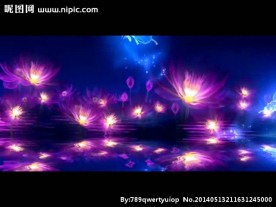 荧光荷花蝴蝶舞台视频