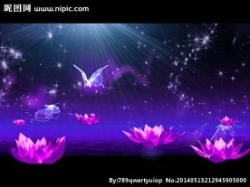 莲花荧光蝴蝶舞台视频