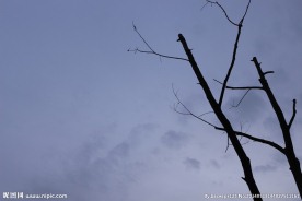 黑色天空