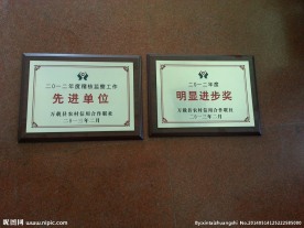 奖牌