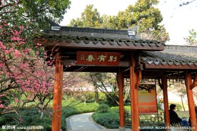杭州植物园
