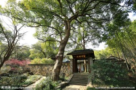 杭州植物园