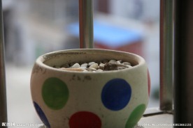 瓷碗