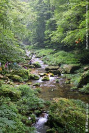 张家界风景