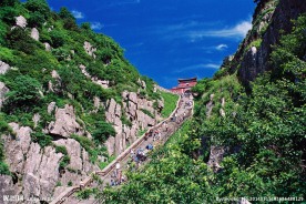 泰山