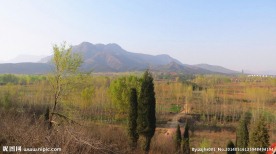 嵩山中岳庙春景