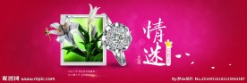 珠宝PSD