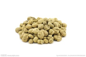 中药材 元胡 延胡索