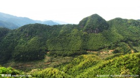青山