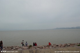 深圳红树林海边
