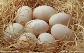 鸡蛋