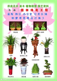 99花卉苗圃宣传单