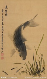 鱼乐图