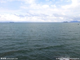 绿色大海