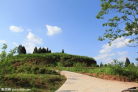 乡村公路