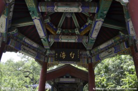 北京大学